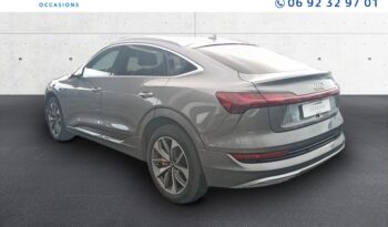 Occasion à vendre : Audi voiture blanc glacier electrique 55 408ch avus extended e-quattro Reunion