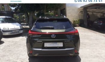 Ux occasion Reunion 250h 2wd luxe my20, modèle 2022 à vendre.