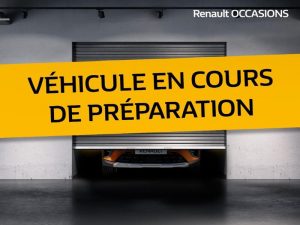Vente Dacia Spring business 2020 - achat intégral Renault-renault Saint Denis, La Reunion.