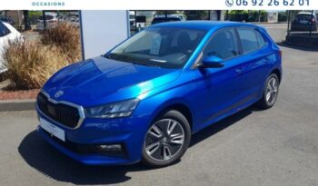 Vente Skoda Fabia 1.0 tsi 95ch ambition Cotrans-multi Marques Saint Pierre, La Reunion.