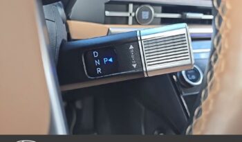 Occasion à prix réduit chez Hyundai-hyundai Saint Paul : Vente s.u.v. 2024, s.u.v. à La Reunion.